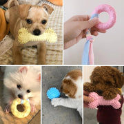 Interactive Dog Chew Toy