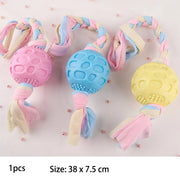 Interactive Dog Chew Toy