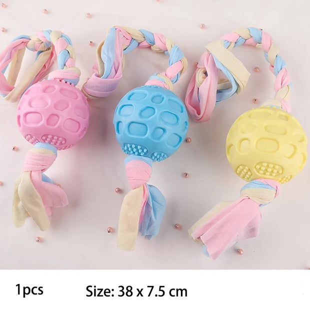 Interactive Dog Chew Toy