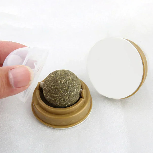 Edible Catnip Ball Toy