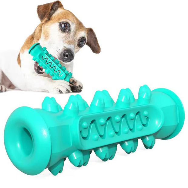 Rubber Dog Chew Toothbrush
