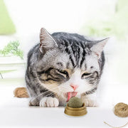Edible Catnip Ball Toy