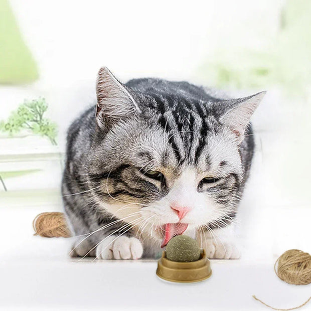 Edible Catnip Ball Toy