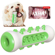 Rubber Dog Chew Toothbrush
