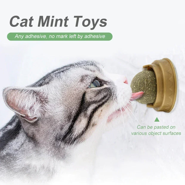 Edible Catnip Ball Toy