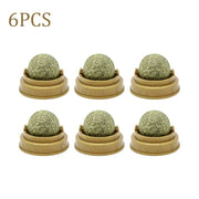 Edible Catnip Ball Toy