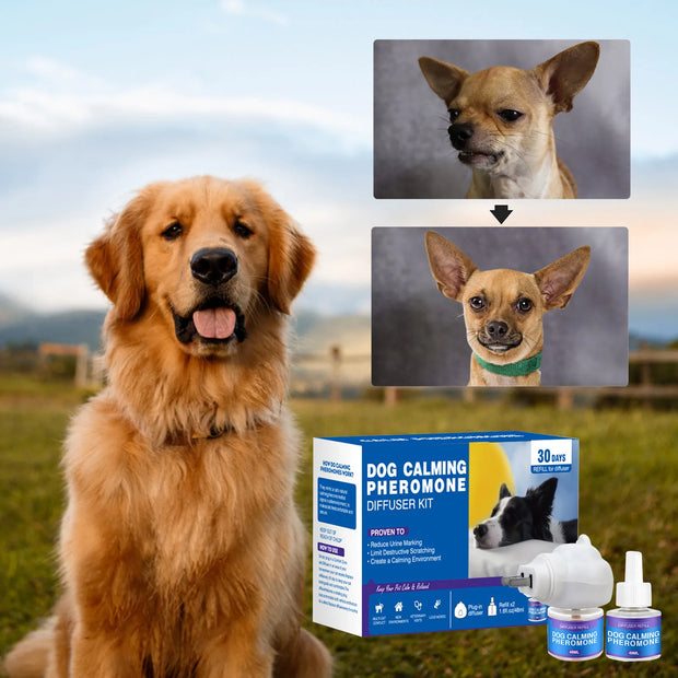 CalmEase™ Pet Pheromone Diffuser