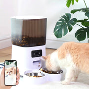Smart Automatic Pet Feeder with Camera & Voice Control