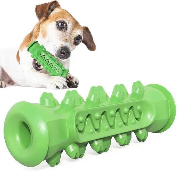 Rubber Dog Chew Toothbrush