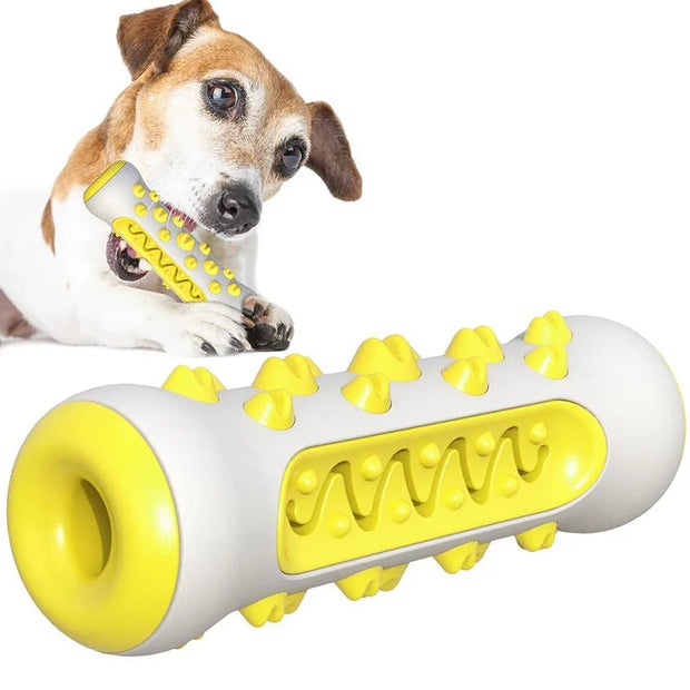 Rubber Dog Chew Toothbrush