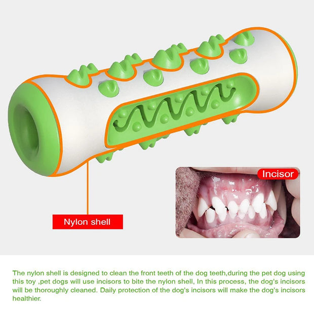 Rubber Dog Chew Toothbrush