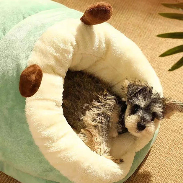 Cozy Paws™ Slipper-Shaped Pet Bed
