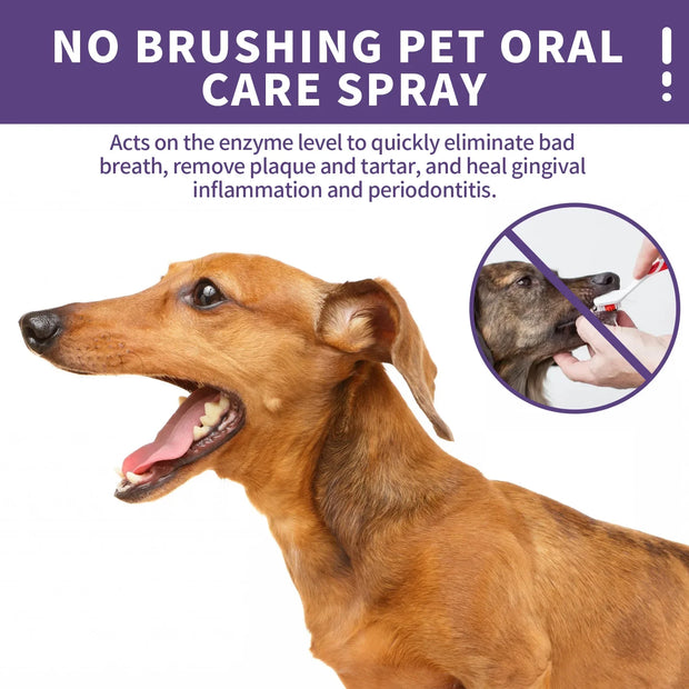 FreshBreath™ Pet Oral Spray