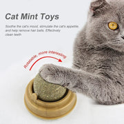 Edible Catnip Ball Toy
