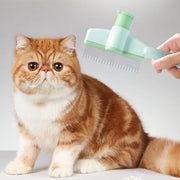 Cat Grooming & Massage Brush